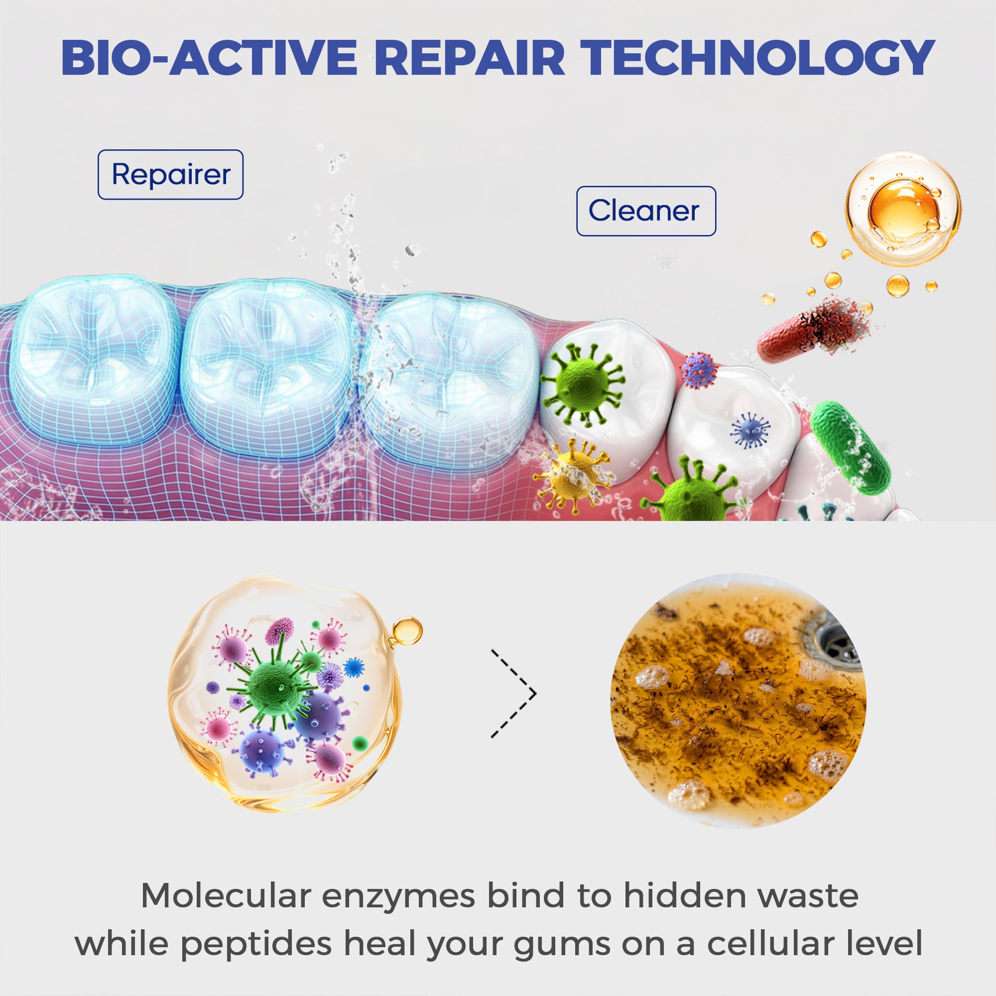 Infographic diagram illustrating MySmile Bio-Active Repair Technology: Molecular enzymes actively bind to and remove hidden oral waste, while peptides penetrate to heal gums and strengthen enamel at a cellular level.
